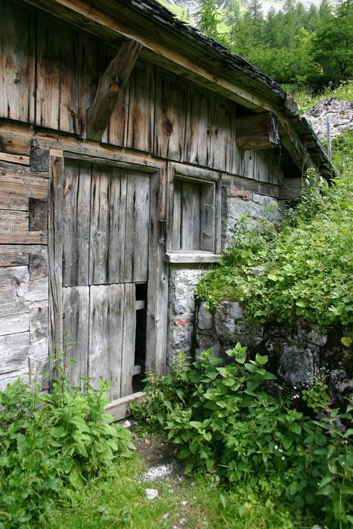 Birkenhof Brand Apartman Brand  Kültér fotó